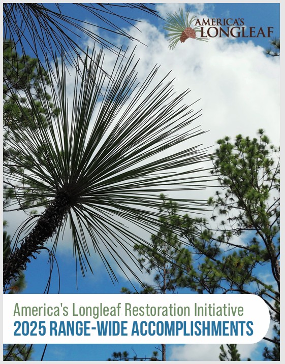 CFLCP American Longleaf Restoration Initiative ALRI